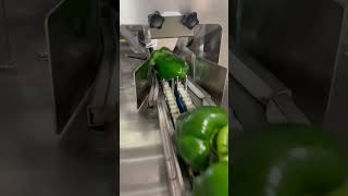 Barsch Flowpack Paprika Doppelte Pc Kette