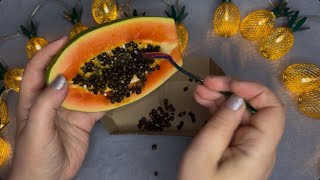 :    ,  , ,  | Asmr Eating