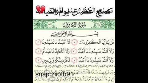 معلومات قيمه عن القرأن الكريم#فعلا القرآن الكريم شيئ عظيم