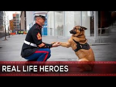 смешные спасатели. плачущая девушка мем. Action dangerous. мем девушка плачет от счастья. Real life heroes.