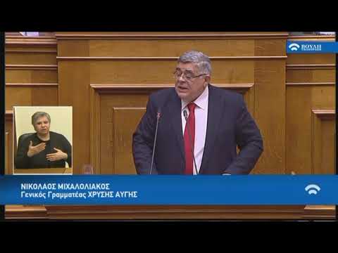 Ν.Μιχαλολιάκος(Γεν.Γραμ.Χρυ.Αυγής)(Συζήτηση για την αναθεώρηση του Συντάγματος)(14/11/2018)