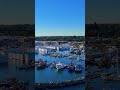 Fishing Fleet at Bellingham Marina 🐟 | A Behind-the-Scenes Look
