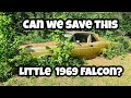 Will this little 1969 Falcon be able to run and drive?