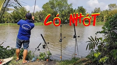 Câu cá tự nhiên/một buổi đi câu đầy cảm giác 