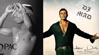 DJ MAD - 2Pac & Amr Diab - Rihet El Habayib (DJ MAD Offical Remix)