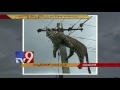 Leopard dies with current shock on electric pole