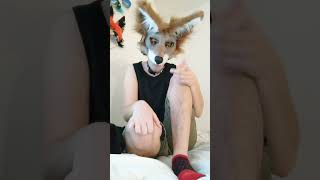 jumping up and down in muddy puddles #furry #alterhuman #mask #maskmaker #subscribe #fyp #hashtag