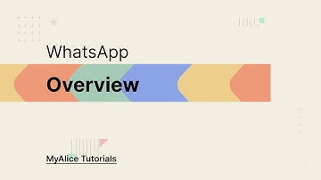 MyAlice x WhatsApp Overview