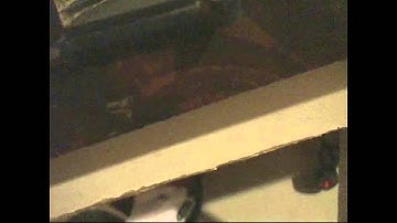 Project Razorback Bandit VXL