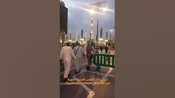 هنا يرقد الرسول وهنا تهفو القلوب المدينة المنورة اطهر بقاع الارض المسجد النبوي 