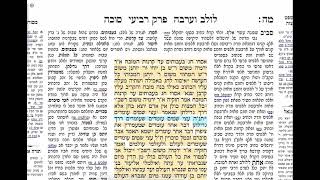 הדף היומי מסכת סוכה דף מה Daf yomi Succa daf 45 @DafYomiVideo.com