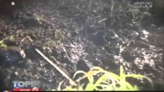 Download lagu TOPIK ANTV Aksi Seru Offroad Malam