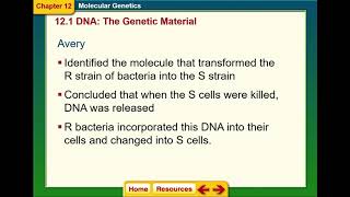 12-1 DNA Structure