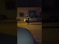 احلا فيالة في قابس 