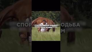 Кому нужна адекватная, комфортная, индивидуальная программа тренировок и питания - обращайтесь!