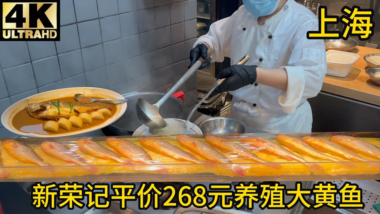 【验证】新荣记平替荣小馆,260元家烧养殖大黄鱼味道怎么样？