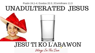 UNADULTERATED JESUS