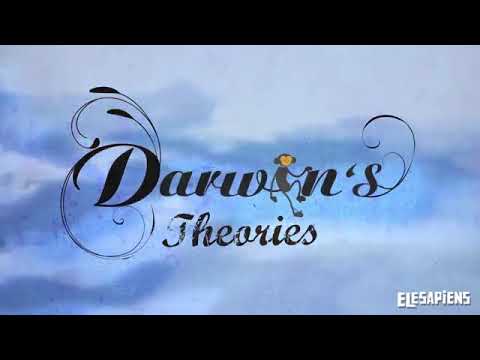 Darwin Theory - YouTube