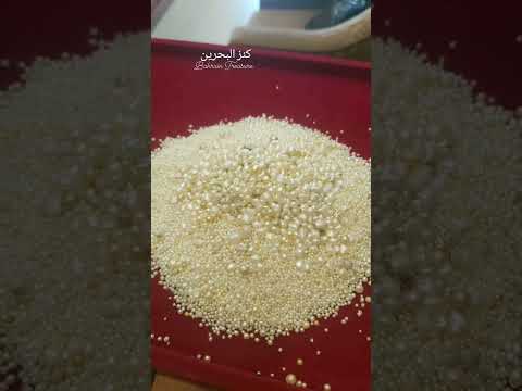 كنز البحرين لآلئ بحرينية من البحر من تجميع غواصة اللؤلؤ لمدة طويلة  