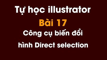 Tự học illustrator cho người mới bắt đầu | Bài 17: Công cụ biến đổi hình Direct Selection