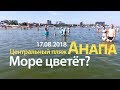 Анапа. Погода 17.08.2018 Море цветёт? Центральный пляж