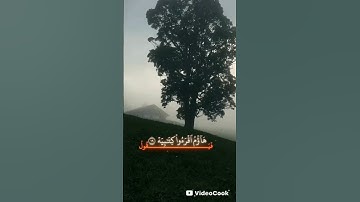 #قرآن كريم #المصحف #سورة الحاقه #اكسبلور #الرحمن #لايك #راحة_نفسية #ترند