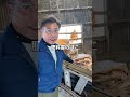 トマトの肥料不足のサイン#農業 #魚粉肥料 #農業を盛り上げたい #肥料 #トマト