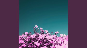 Awesome Backdrops for Pure Gardens