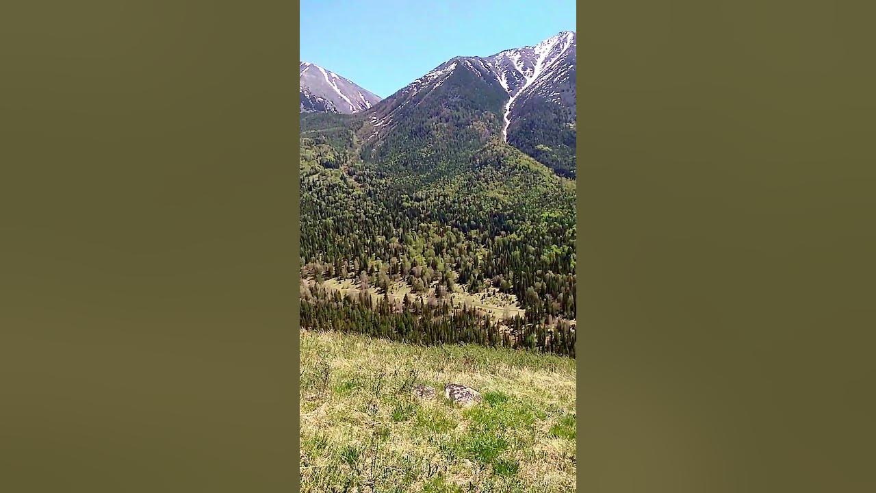 Катон-карагай #катонкарагай #рахмановскиеключи #белуха #коробиха # ...