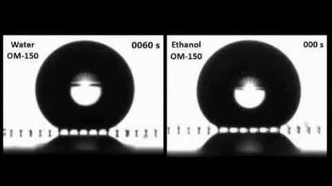 Water and Ethanol Droplet Wetting Transition during Evaporation on Omniphobic Surfaces