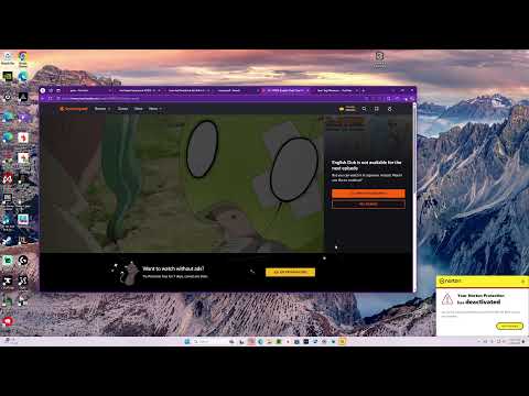 online poker ignition casino tournament