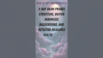 Small Angle X ray Scattering SAXS