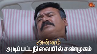    Annam  Semma Scenes  30 Jan 2025  Tamil Serial  Sun Tv