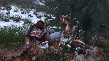Skyrim SE Slaying Wolves ft. True Directional Movement, SkySa & BadAss Animations