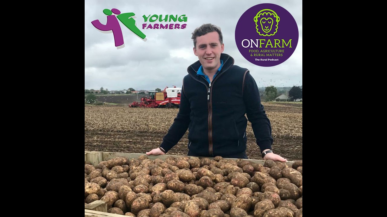 Highland Showcase and SAYFC in lockdown