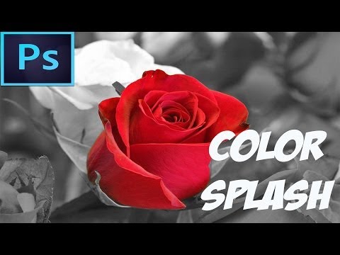 Adobe Photoshop CC Tutorial - Color Splash Effect (For Beginners)