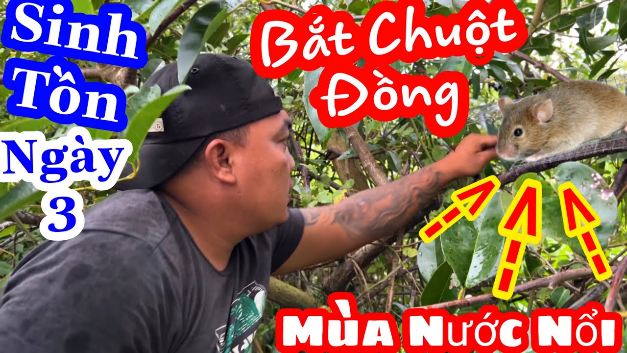 TXTV - Sinh Tồn Mùa Nước Lũ Ngày 3 | Thánh Xàm Đi Săn Bắt Chuột Đồng