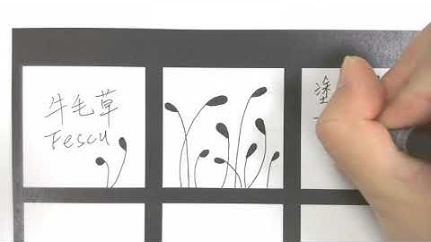 快剪版｜Zentangle牛毛草