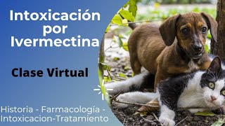 Ivermectina Intoxicación en Animales Domesticos ( lactonas Macrociclicas)
