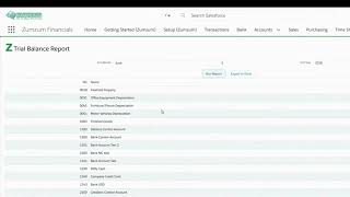 Financial Reports - Zumzum Financials