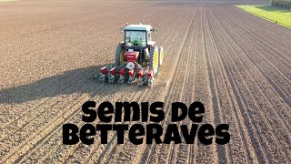 Semis de betteraves 2020