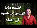 تفسير رؤية الجلوس تحت شجرة في المنام 