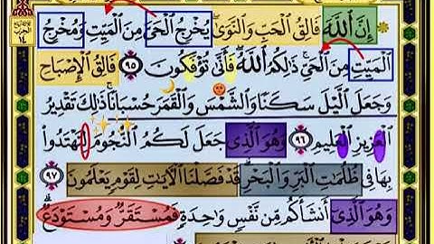 النصف الاول من صفحة 140 من سورة الانعام الايات من 95:98 مكررة بصوت الشيخ محمود الحصري
