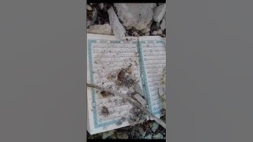 سبحان الله لم يصل شيء القران الكريم متابعه فضلا وليس أمرا