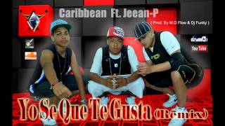 Video Yo Se Que Te Gusta (Remix) Ft. Caribbean Jeean-P