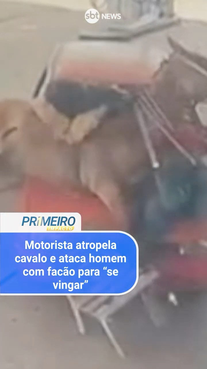 Motorista atropela cavalo e ataca homem com facão para “se vingar”