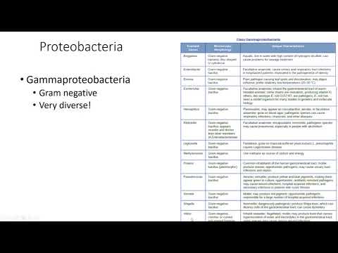 Video: Ce face proteobacteria unică?