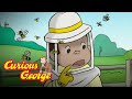 How Bees Make Honey 🐵 Curious George 🐵Kids Cartoon 🐵 Kids Movies 🐵Videos for Kids