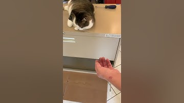 HOW TO REMOVE  A DRAWER FROM " HON" LATERAL FILE CABINET