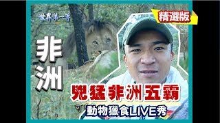 【南非】遊獵保護區探險 野生動物兇猛五霸《世界第一等》42集精華版